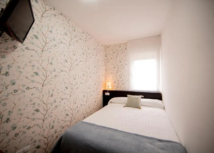 Noja 2 Педрусо